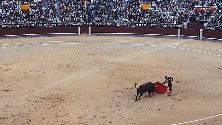 Ισπανία: Τρεις άνθρωποι έχασαν τη ζωή τους από ταύρους στη Βαλένθια